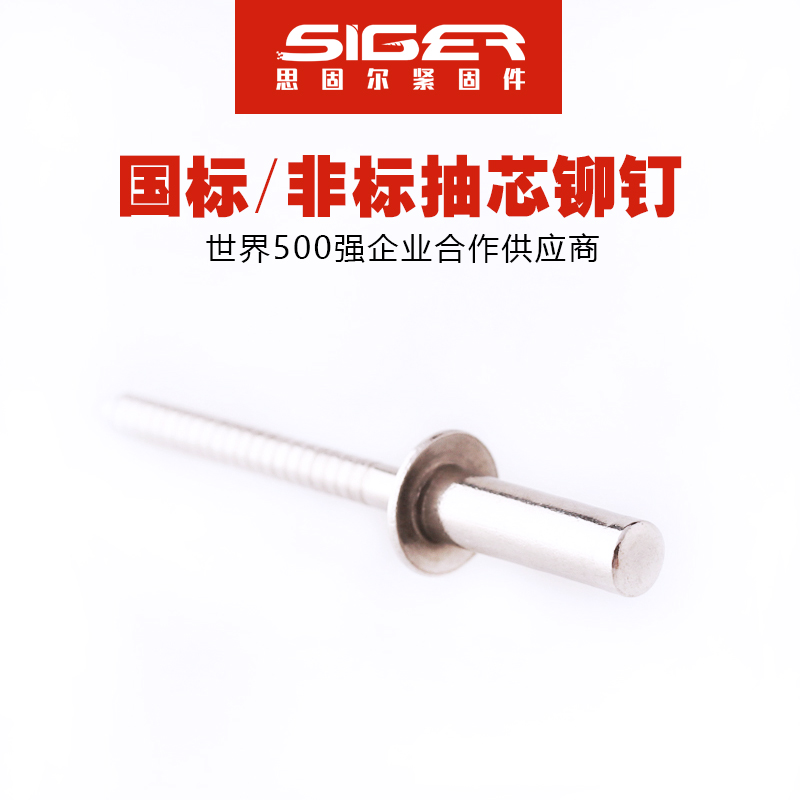 圓頭封閉全不銹鋼抽芯鉚釘