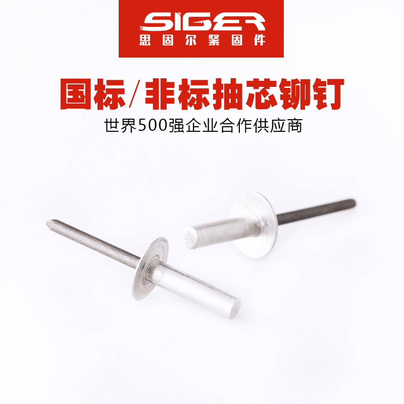 圓頭封閉大帽鋁抽芯鉚釘