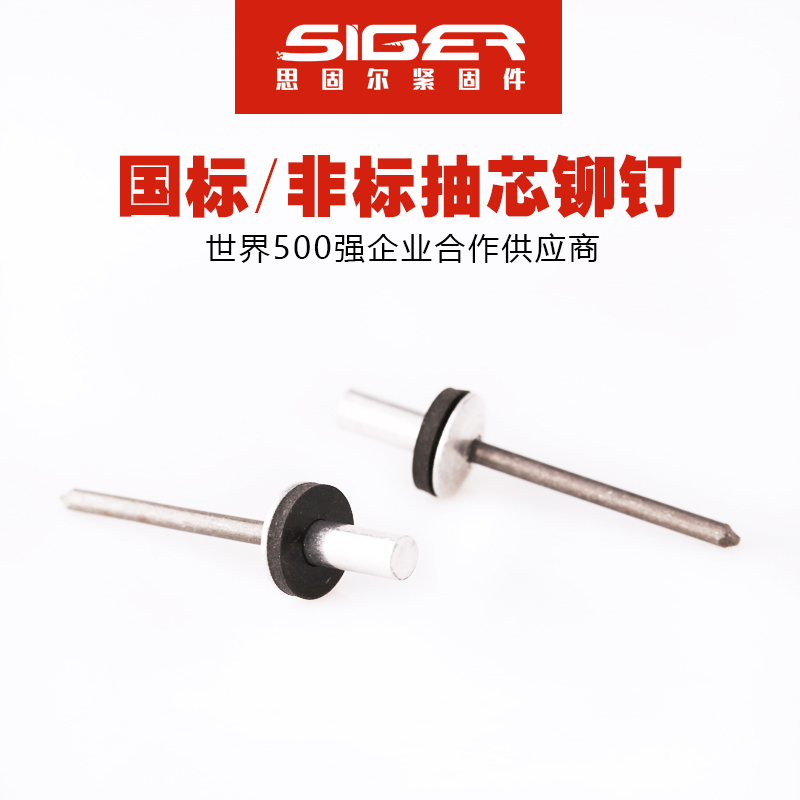 圓頭封閉防水大帽鋁抽芯鉚釘