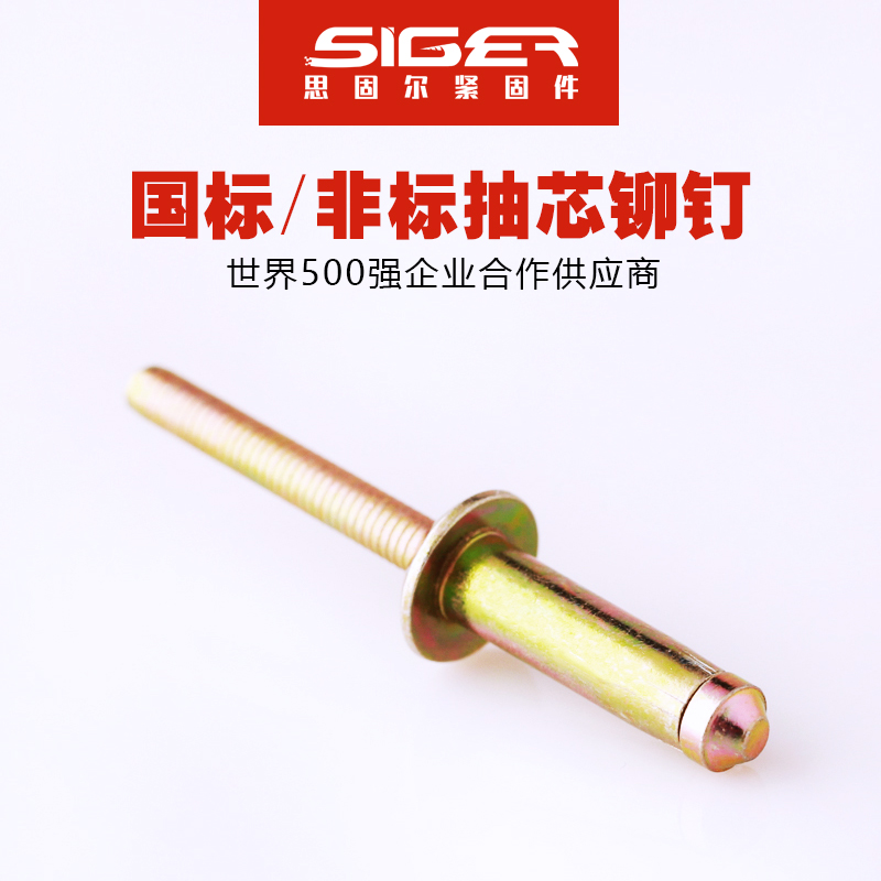 海馬鋼結(jié)構(gòu)全鐵彩鋅抽芯鉚釘